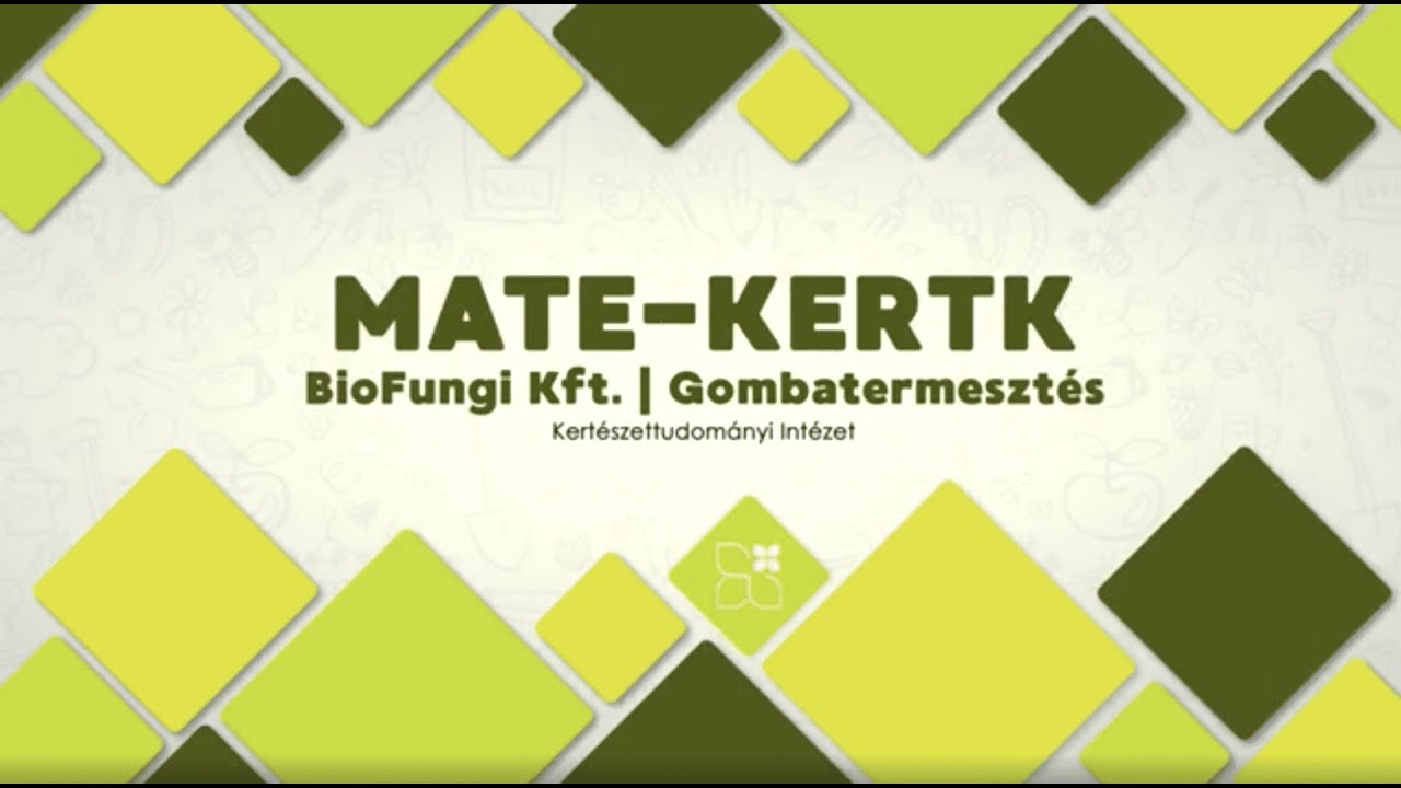 MATE-KERTK #1 | BioFungi Kft. | Gombatermesztés