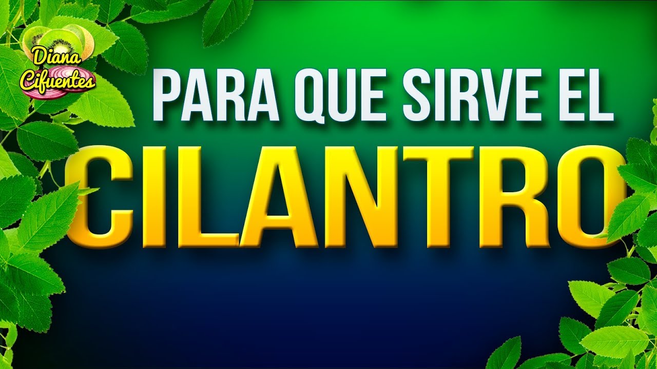 Propiedades Del Cilantro