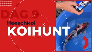Download Lagu Dag 9 | kleine kweker verrassende resultaten jumbo koi new by @Heeschkoi5384 MP3 Download Lagu Dag 9 | kleine kweker verrassende resultaten jumbo koi new by @Heeschkoi5384 MP3