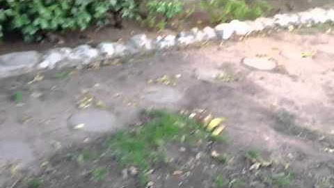 Action Movie FX App Demo