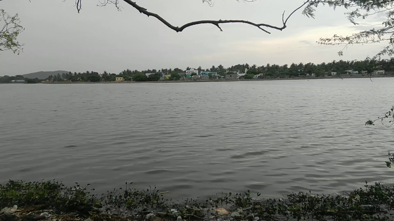 Selaiyur Lake, Tambaram, Chennai YouTube