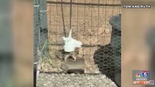 Snaps on Sunrise 5/21/2026