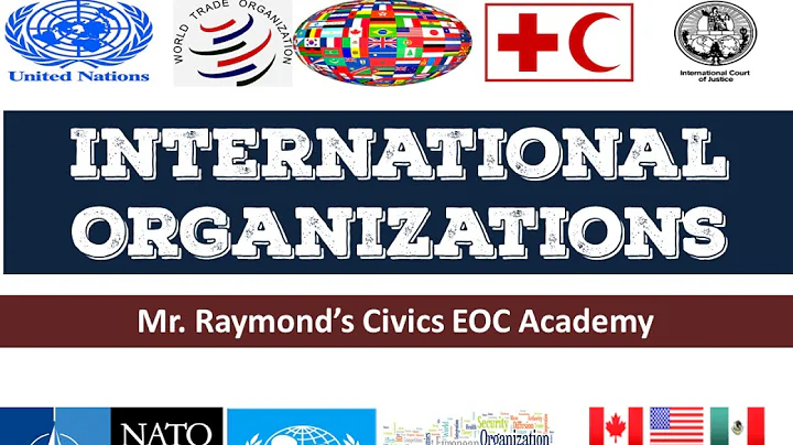 International Organizations - 4.2 Governmental and NGOs - Benchmark Civics EOC - DayDayNews