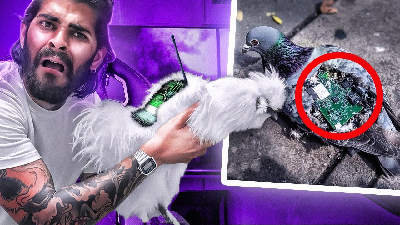 Los pájaros no EXISTEN!! 🐥❌