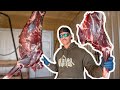 Aging Whitetail Deer Meat for 7 Days (Clean & Cook)