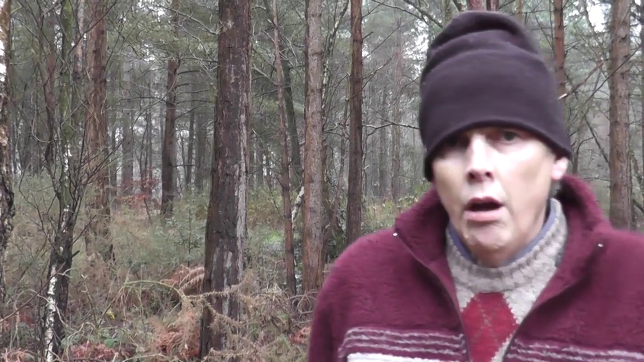 Woodland Encounter Short Film YouTube