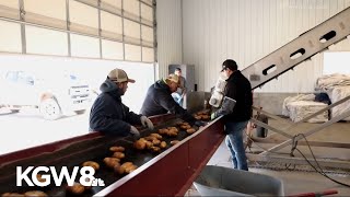 Fresh from Oregon: Farmers donate millions of pounds of food to fight hunger