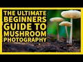 How to find setup photograph and edit your mushroom photos a beginners guide