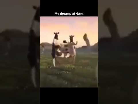 Just cows dancing comedy funny dreams dream cow talkcutsstudio meme real memefunny 4am