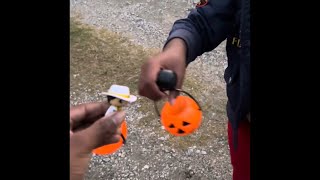 TFM Movie: Halloween 🎃!
