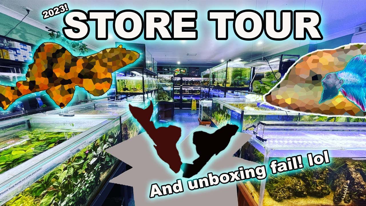 AQUARIUM SHOP UPDATE ~ Fish Unboxing AND Aquarium Tour!