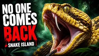 Snake Island: Where Humans Don’t Survive