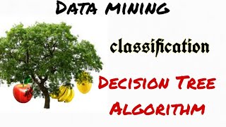 Decision Tree Algorithm in Data Mining