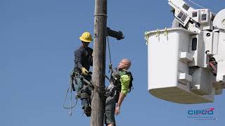 Pole Top Rescue Training 2022