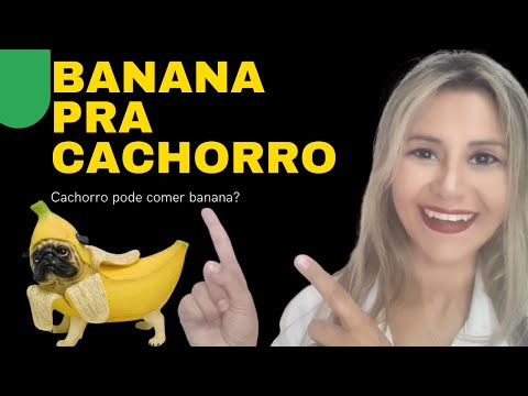 Vídeo: As cascas de banana são ruins para os cães?