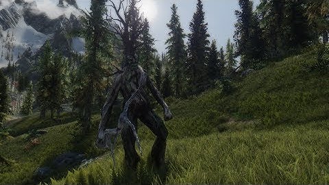 Skyrim Gameplay Performance ENB