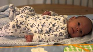 Arthur Sings His Theme Song