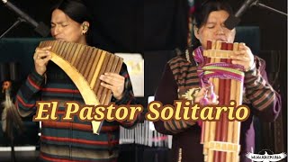 PANFLUTE | EL PASTOR SOLITARIO
