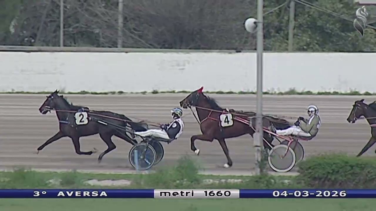 Aversa trotto 4 Marzo 2026 - 3° Corsa