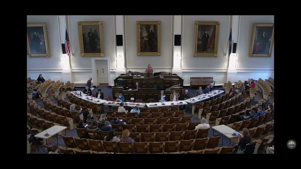 Rev. Kate Harmon Siberine testimony against anti-trans bill in N￼H