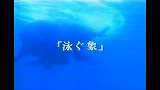 1992年(平成4年)03月のCM　2