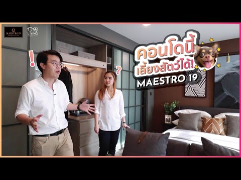 วีดีโอ: มาเอสโตรพีคืออะไร: มาเอสโตรพีในสวน