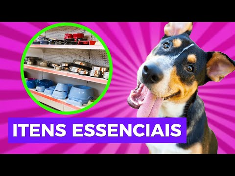 Vídeo: O que é o aconselhamento de seleção de animais de estimação?