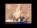 وجهة نظر و يـجـوز فيهـا الاتفاق و الانـقـسـام الشاعر عبدالله بن علوش الهاجري