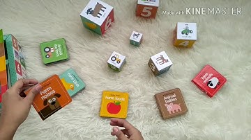 Baby Firsts FARM Box Set includes 6 Board Books and 6 Stacking Blocks