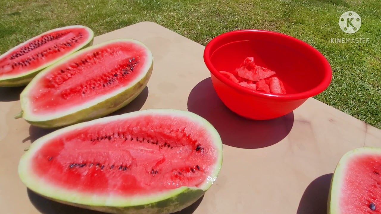 Sangria Watermelon Review!