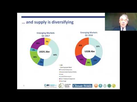 The Key Role of Central Banks and Regulators in Greening the Financial System<br><a class="sbfn_video_index" href="https://sbfnetwork.org/webinars-stage/sbfn-ifc-webinar-key-role-of-central-banks/" rel="noopener">Full Details</a>