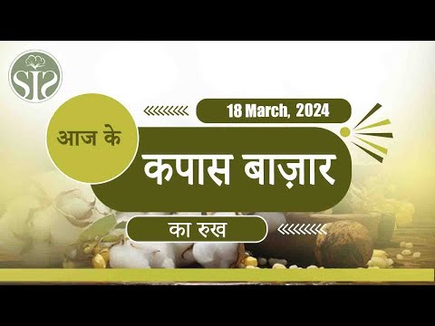 18 मार्च 2024 का सम्पूर्ण भारत के कॉटन बाजार पर एक नजर #kapas #textile #cotton