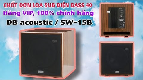 Đơn đi Vinhomes. Loa sub điện bass 40 dòng cao cấp. Mã SW-15B hàng 100% chính hãng DB acoustic