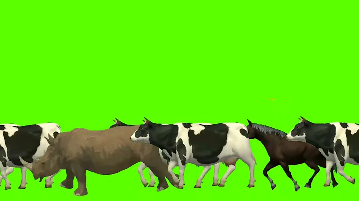 Green screen animals running video / Animal stampede green screen #greenscreen #animals #stampede
