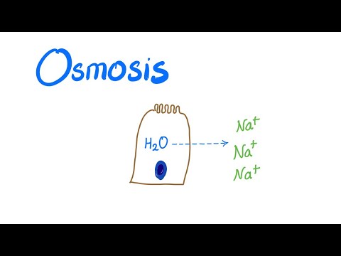 Osmosis, Osmotic pressure and Osmolality