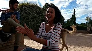 Video thumbnail of "Blanca la Almendrita - Cover: Rosa de mi Pañuelo (Migue Benítez)"