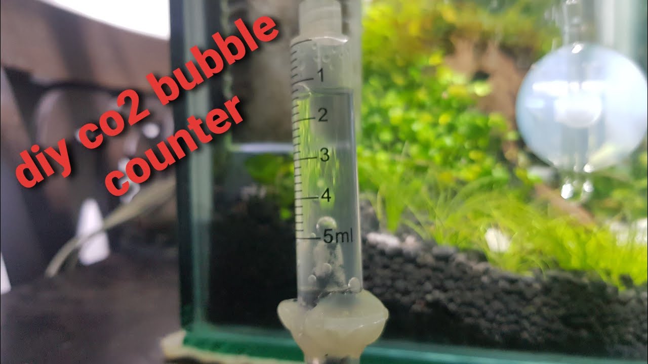 diy co2 bubble counter YouTube