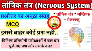 तंत्रिका तंत्र Nervous System ! Quiz