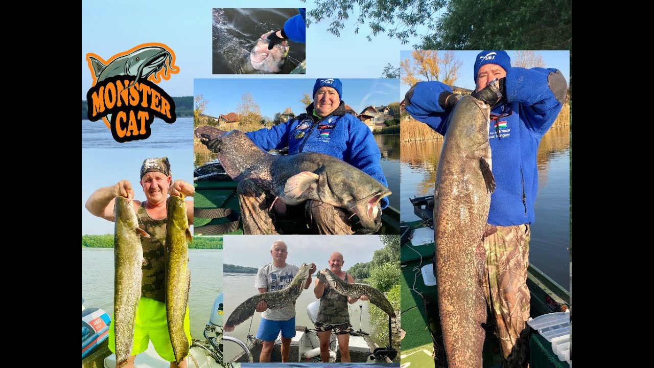 Harcsapergetés Nagy és Kis-Dunán! (Teljes film) www.harcsazas.hu