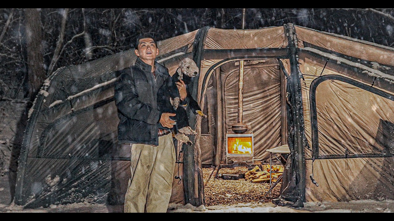 Снежная ночь в лесу с моей собакой