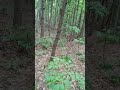 Just a walk.. nothing happened or touched me.