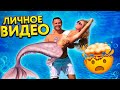 🔥 ОХОТА НА РУСАЛКУ ПРОШЛА УСПЕШНО ❗️