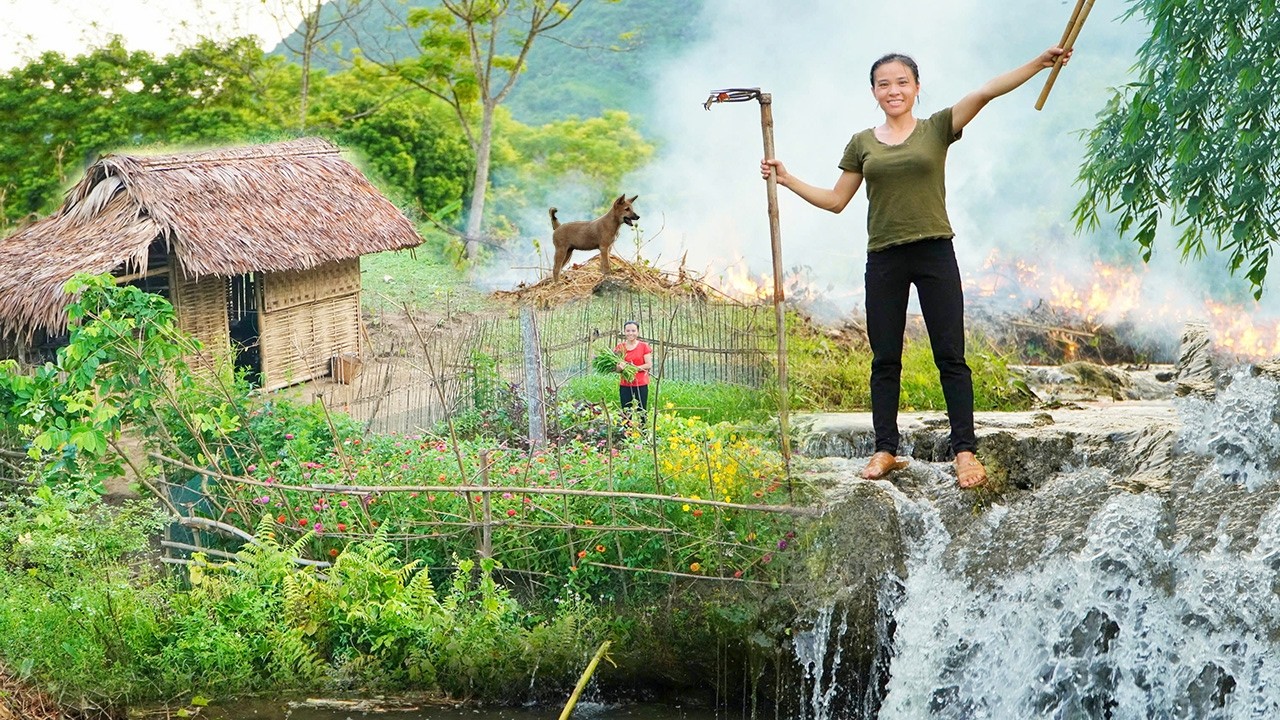 First Organic Vegetable Harvest on the Single Mom's Farm | Clearing the Island for Future Plans