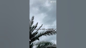 #سوره القصص# القارئ الشيخ ياسر الدوسري# قرآن كريم#