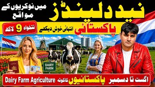 نیدرلینڈز کی فارم جابز | سی وی تیار کریں اور اپلائی کریںNetherlands Farm Vacancies | Make CV & Apply نیدرلینڈز کی فارم جابز | سی وی تیار کریں اور اپلائی کریںNetherlands Farm Vacancies | Make CV & Apply
