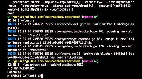 CockroachDB at London Go User Group, 7/22/15