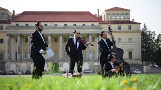 JANOSKA ENSEMBLE - Ensemble in Residence - Schloss Esterhazy