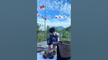 Hột chuối rừng #dudongbac22 #food #amthucbaclieu