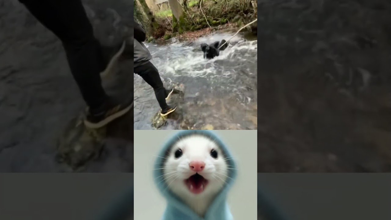 If you go into the water like this, you will slip😂😂 