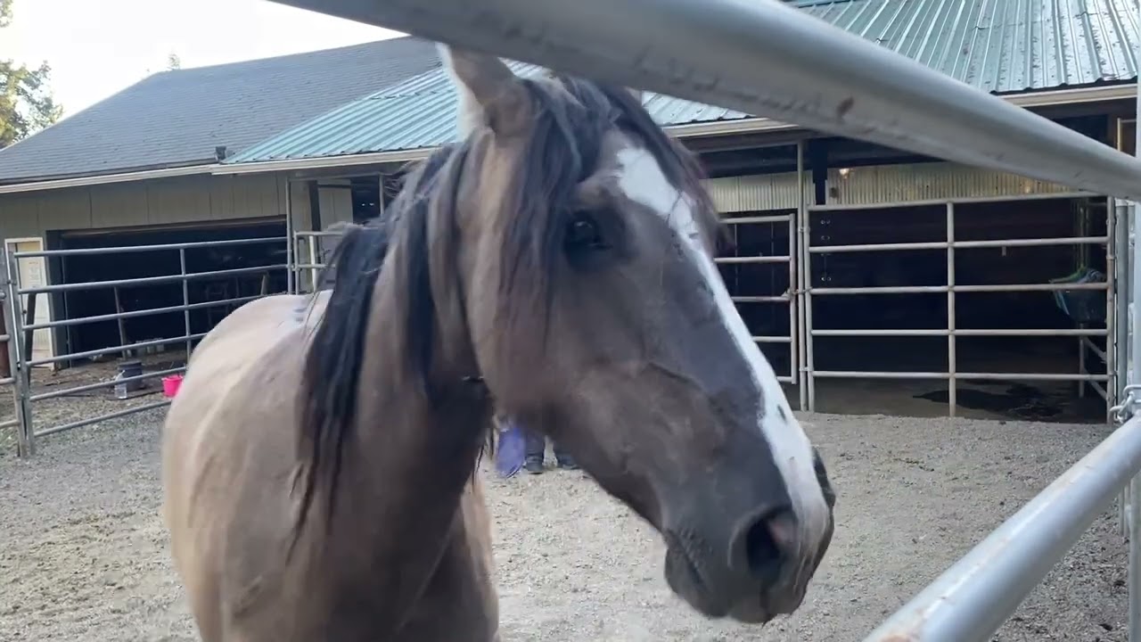 Kali unloaded part 2